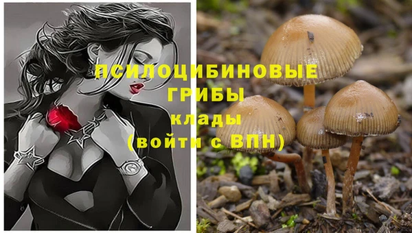 крисы Арсеньев