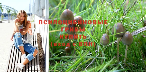 крисы Арсеньев