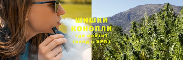 крисы Арсеньев